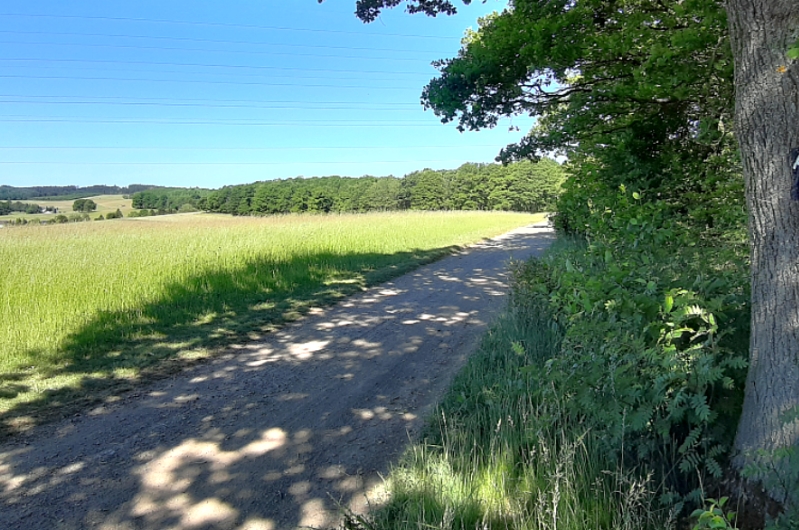Ferien in Freudenberg - Airbnbfreudenberg.de